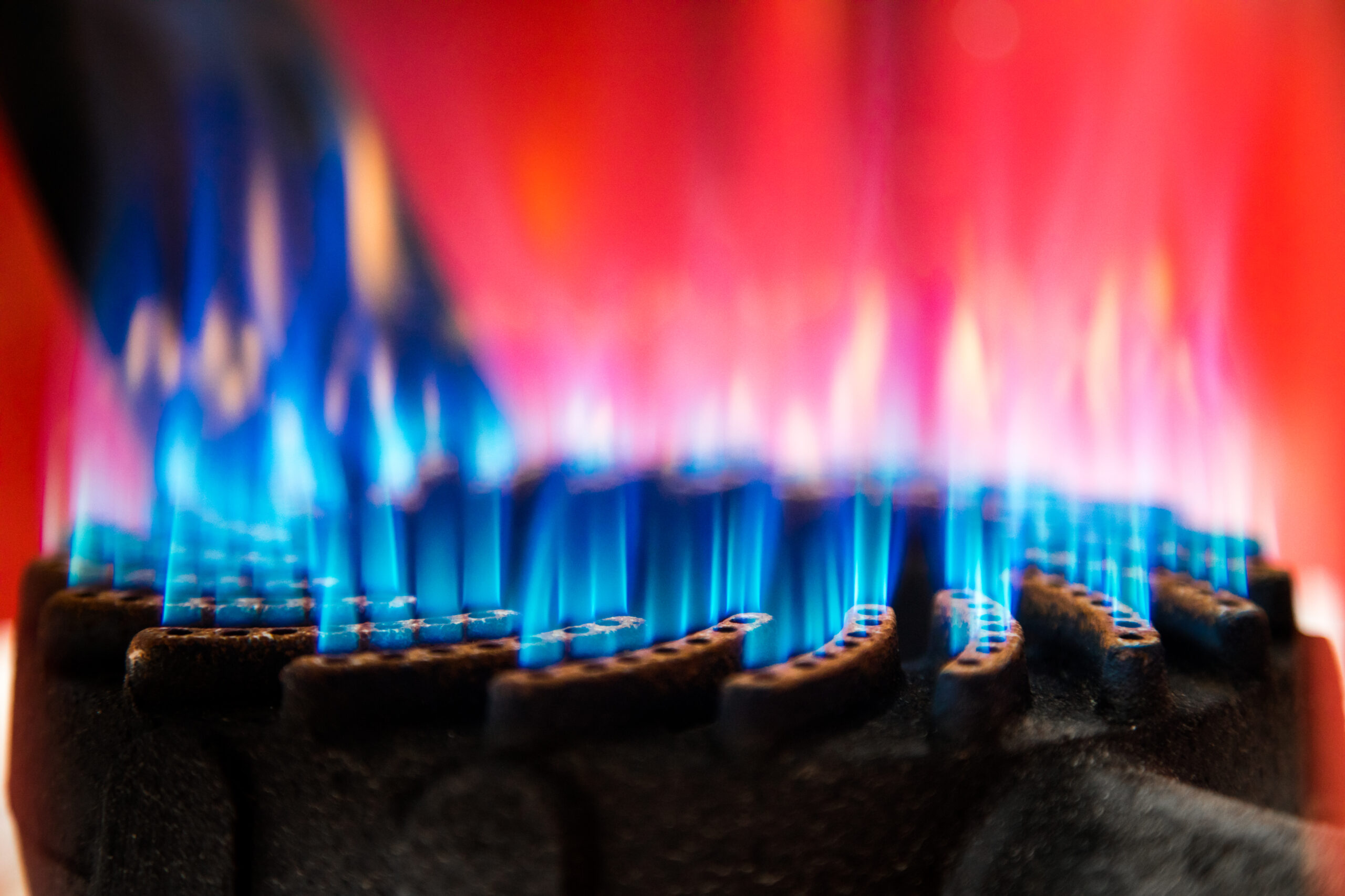 Close-up of blue and red gas flames from heating system
